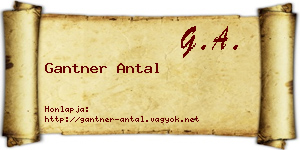 Gantner Antal névjegykártya